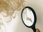 Rauskriegen ob die tapezierte Wand feucht ist: mit Handspiegel