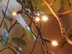Lichterkette vergessen mit den Weihnachtssachen zu verstauen?