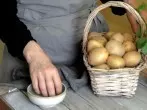 Saubere Hände beim Pellkartoffeln rüsten/schälen