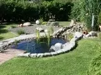 Sauberer Gartenteich mittels Tageszeitung