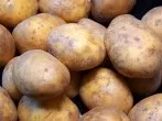 Kartoffeln richtig lagern