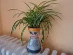 Blumentopf mal anders- selbst gemacht