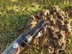 Gegen Maulwurf im Garten - leere Flasche