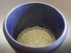 Katzenstreu gegen Staunässe im Blumenübertopf