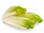 Bitterstoffe im <strong>Chicoree</strong> entfernen