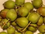 Pektinreiche Flüssigkeit aus Falläpfeln