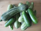 <strong>Zucchini</strong>- oder K&uuml;rbis-Suppe