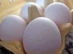 Eier bei Raumtemperatur verarbeiten - macht das Sinn?