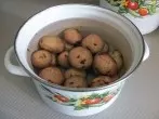 Kartoffelwasser als Blumendünger