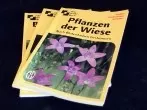 Alte Bücher kostenlos auf eine Reise senden & aufnehmen