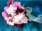 Blumentransport im Auto