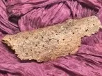 Gegen Holzwürmer in Baumrinde