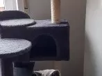 Kratzhilfe für Katzen