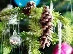 Weihnachtsschmuck aus Tannenzapfen