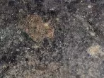 Braune hartnäckige Flecken an Herdplatten