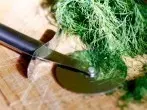 Ein gefrorenes Sträußchen Dill - griffbereit im Gefrierschrank