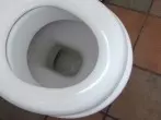 Mattgeschrubbten Klobrillen/-deckeln wieder Glanz verpassen