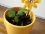 Blumentopf Verzierung