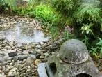 Hundepool für den Garten