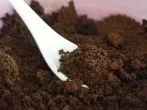 Besseres Hautbild durch Kaffeepeeling