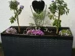 Auflagenbox für Gartenpolster als Pflanzcontainer nutzen