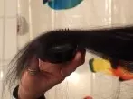 Lange oder verklettete Haare leichter bürsten
