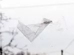 Tesafilm von Glasscheiben entfernen