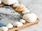 Sandbild: Muscheln auf Papier/Karton befestigen