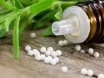 Homöopathisches Mittel gegen Nacktschnecken