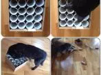 Motivationsspielzeug für Katzen selber machen