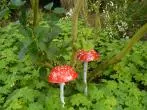 Herbstdeko für den Garten