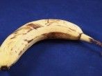 Sehr reife Bananen f&uuml;r <strong>Hundekekse</strong>