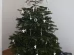 Verpackungsmüll bei Weihnachtsgeschenken vermeiden