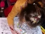 Malen und Basteln für Kinder: Tapetenmusterbücher