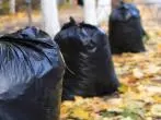 Essig im Müllsack gegen Tiere