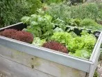 Hochbeet selber bauen