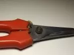Keine schmutzigen Gartengeräte