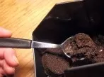 Blatt- und Schildläuse mit Kaffee oder Tee bekämpfen