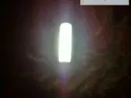 Zu viele Spinnen im Haus - Spinnen fernhalten