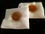 Keine unangenehmen Gerüche im Kühlschrank