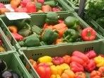 Worin unterscheiden sich gr&uuml;ne, <strong>gelbe</strong> und rote Paprika?