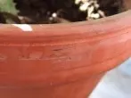 Tomatenflecken? Dreckige Blumentöpfe? Verschmutzter Grill?