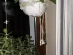 Neues Gesicht für die Blumenampel