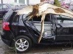Nach Sturm f&auml;llt ein Ast aufs Auto - was ist zu tun?
