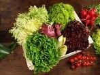 Tipps f&uuml;r leckeren Salat und Dressings