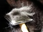 Tierhaare mit Nylonstrumpf entfernen