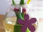 Aloe Vera-Kokoswasser