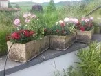 Topfgarten bewässern