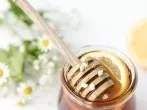 Gänseblümchen-Sirup - köstlich und sehr gesund!