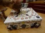 Muschelschatulle - Schatztruhe selbst herstellen